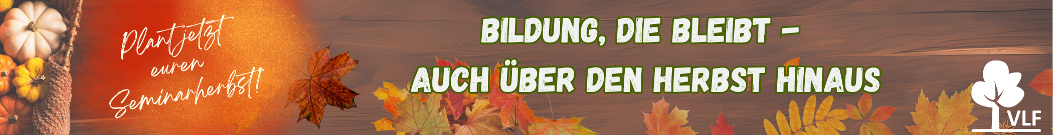 Wir starten in die zweite Jahreshälfte